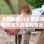 《奔跑吧14》李晨郑恺泥潭大战笑料百出，网友：表情包已存满手机