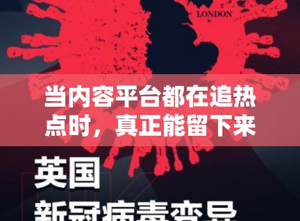 当内容平台都在追热点时，真正能留下来的娱乐稿件往往靠的还是稳妥表达和信息质量